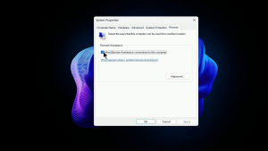 Remote Desktop Error Code 0x204: How to Fix?