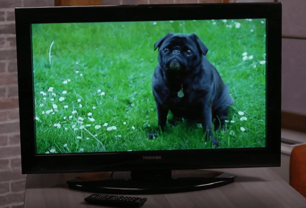 Innovations in Display Technology and Connectivity