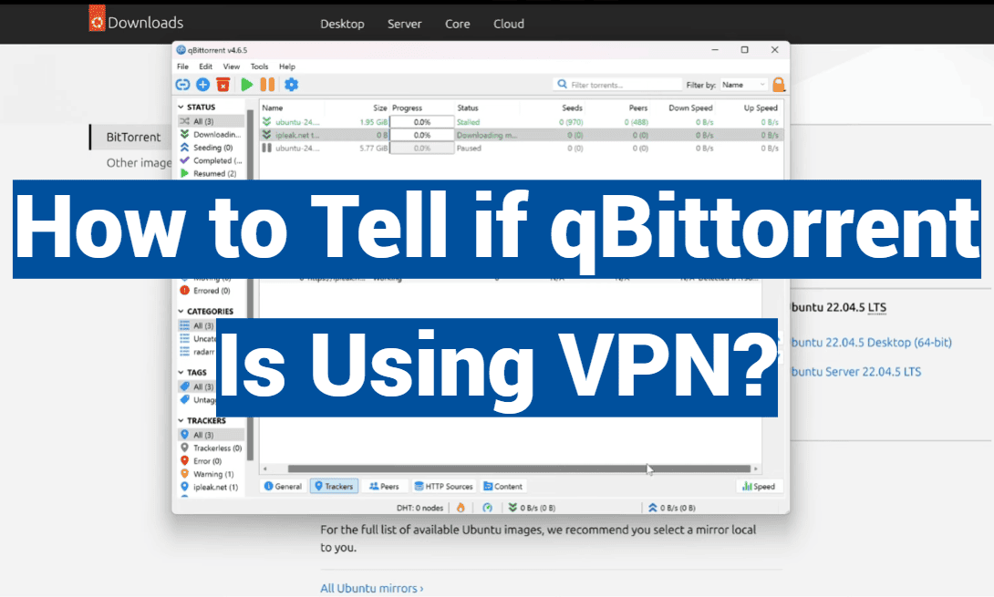 How to Tell if qBittorrent Is Using VPN?