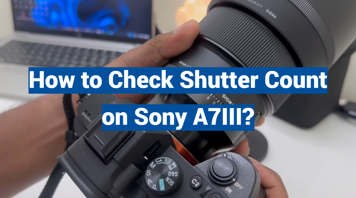 How to Check Shutter Count on Sony A7III?