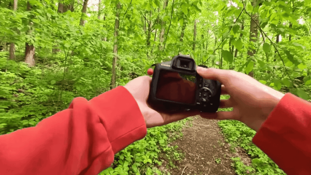 How to Turn Off Canon Camera Sounds