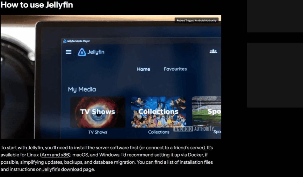 What Is Jellyfin: