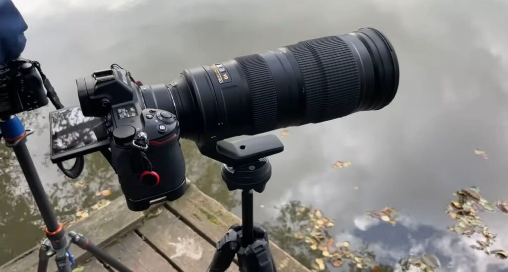 Nikon 200-500mm vs Sigma 150-600mm