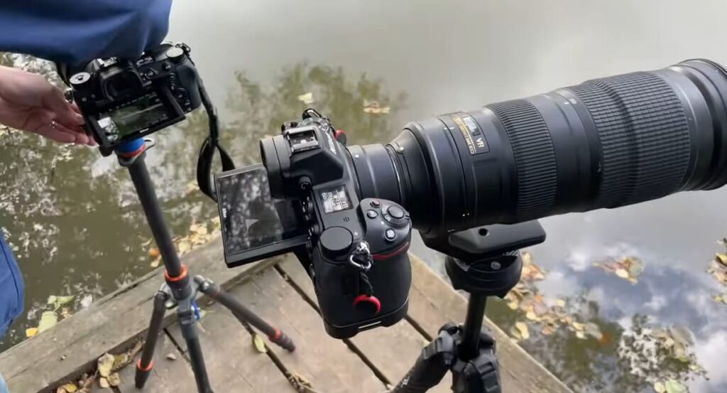 What photos can you take with Nikon 200-500mm and Sigma 150-600mm?