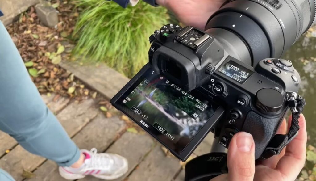 Nikon 200-500mm vs Sigma 150-600mm