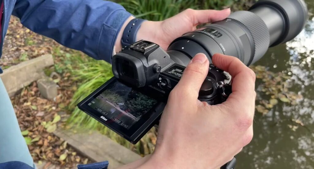 Nikon 200-500mm vs Sigma 150-600mm