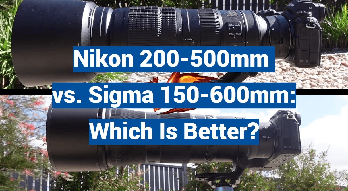 Nikon 200-500mm vs. Sigma 150-600mm: Which Is Better?
