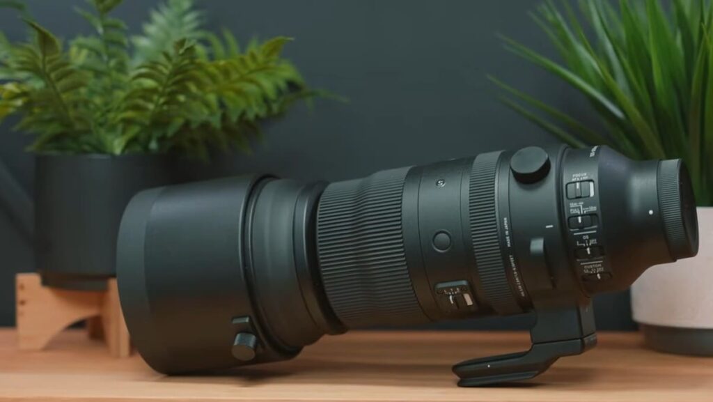 Why do you need 150-600mm lenses?