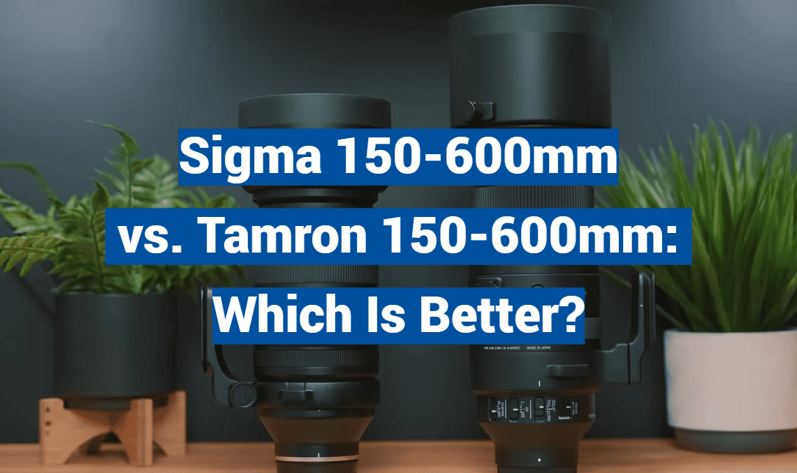 Sigma 150-600mm vs. Tamron 150-600mm: Which Is Better?