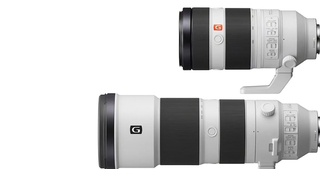 Sony 200-600 G vs 100-400: Comparison according to phototypes