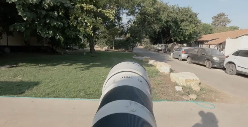 Sony 200-600mm vs Sigma 150-600mm
