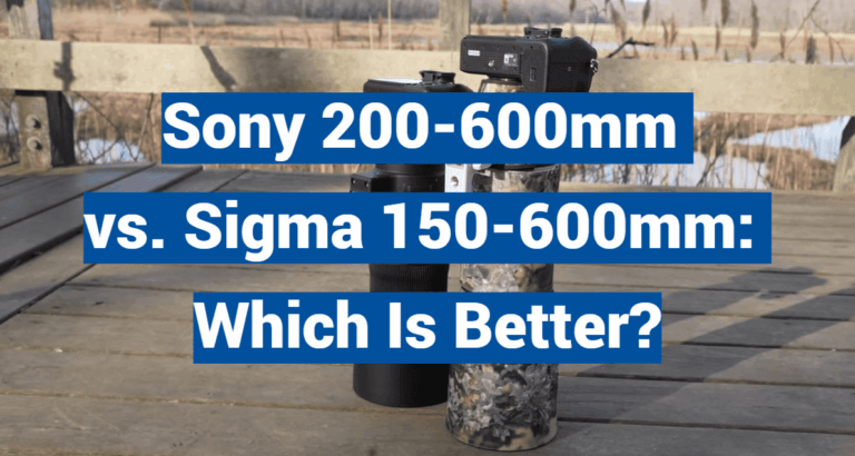 Sony 200-600mm vs. Sigma 150-600mm: Which Is Better?